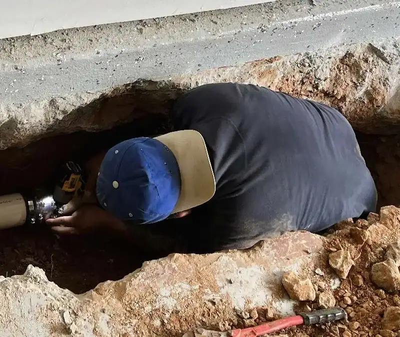 Sewer Repair